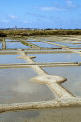 Marais Salants de Guérande, région Pays de la Loire, Loire Atlantique, 44, France