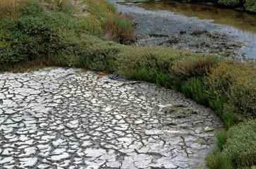 Marais Salants de Guérande, région Pays de la Loire, Loire Atlantique, 44, France