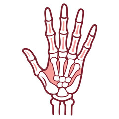 Stylized illustration of human hand bones and carpals