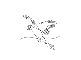 Flying parrot bird in single outline illustration. Continuous line art drawing of cockatoo bird.