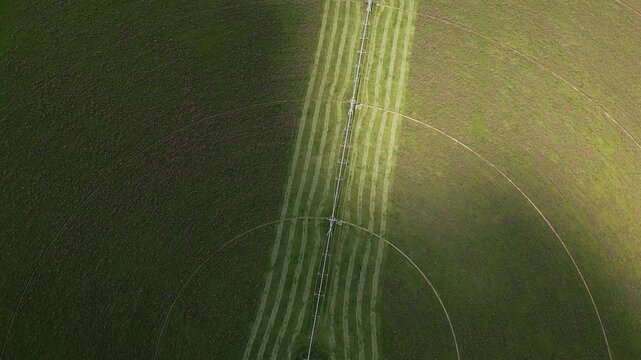 Flying over and alfalfa field, spinning and slowly looking up viewing the surrounding landscape.