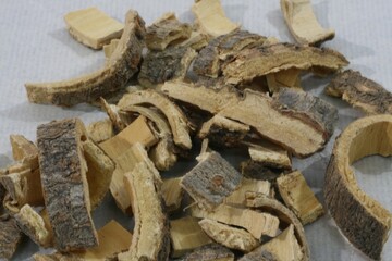 Albizia julibrissin bark slices