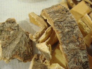 Close-up of Albizia julibrissin bark texture