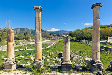 Ruins of Aphrodisiass - one of the best preserved ancient Hellenistic Greek city in the historic region of western Asia Minor, today's Anatolia. Karacasu, Aydin, Turkey