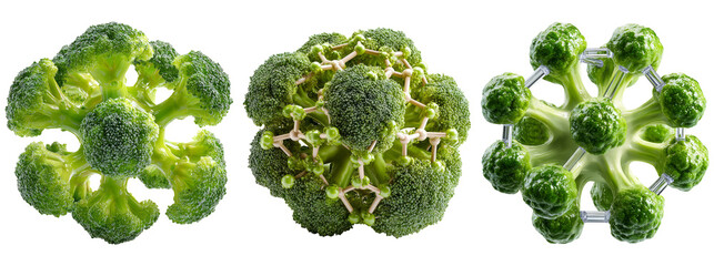 Fresh Organic Broccoli Heads Isolated on White Background for Health