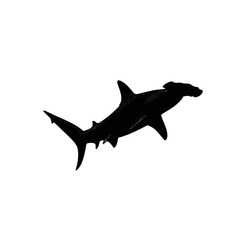 Fototapeta premium Silhouette of a hammerhead shark swimming gracefully through the open ocean water depths calmly now
