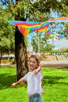 Fototapeta flight of dream
