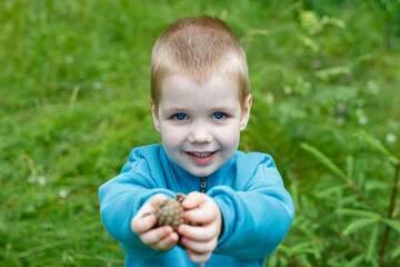 Pine cones in the hands of a child. Childhood moments.