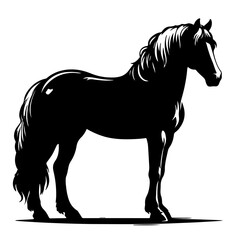 Obraz premium black horse vector illustration