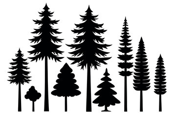 Fototapeta premium Evergreen Pine Tree Silhouettes – Black Vector Forest Trees Collection Isolated on White Background