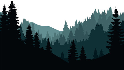 forest in the mountains