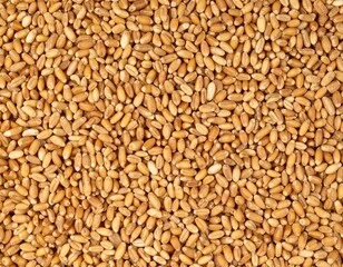 Fototapeta premium Flatlay closeup of a pile of wheat grain as background.