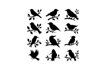 Fototapeta premium Perched Bird Silhouette Vector Bundle