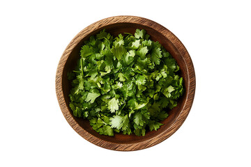 Top View of Fresh Cilantro in Wooden Bowl Isolated on Transparent Background
