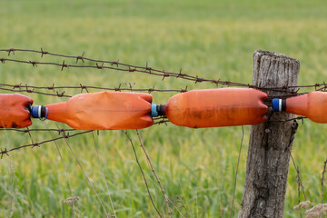An original fence of plastic bottles.Fence in the garden from cattle in Ukraine.
