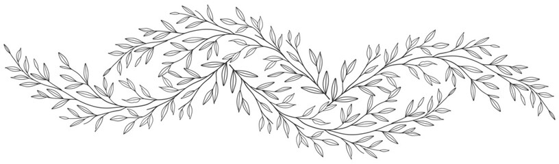 floral leaves line art isolated on white background. Divider doodle leaf and flowers, nature border decorative element vector illustration