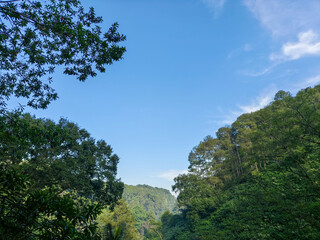 Lush green valley framed by trees under a vibrant blue sky.
