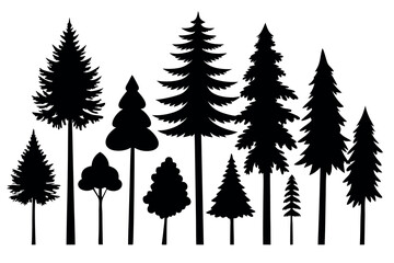 Obraz premium Black Pine Tree Silhouettes – Vector Set of Isolated Evergreen Trees on White Background