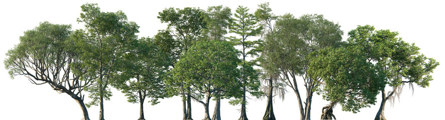 Set of mix of different trees isolated png in sunny daylight on a transparent background perfectly...