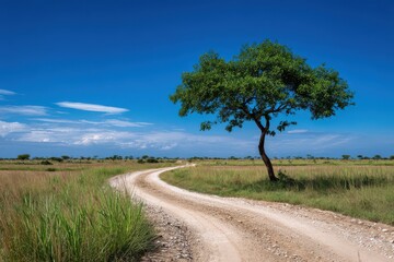 Fototapeta premium Winding dirt road embraced by lush greenery under a bright blue sky during a serene afternoon in the countryside