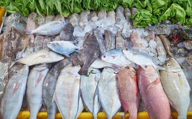 Freshly caught sea fish at a market in Kota Kinabalu, Borneo, Malaysia.
