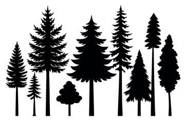 Silhouettes of Evergreen Forest Trees – Pine, Fir, and Spruce Vector Set