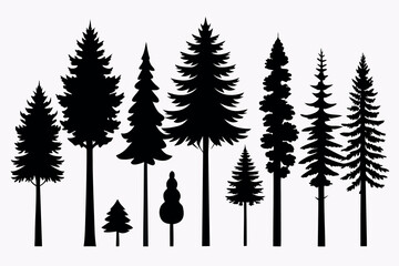 Fototapeta premium Silhouettes of Evergreen Forest Trees – Pine, Fir, and Spruce Vector Set