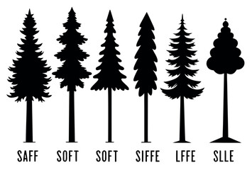 Fototapeta premium Evergreen Pine Tree Vector Silhouettes – Black Woodland Trees Isolated on White