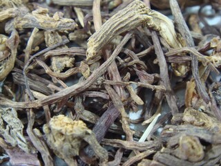 Macro texture of Ziwan herbal root