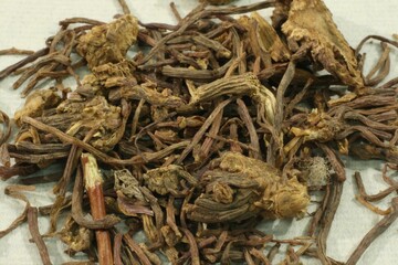 Top view of Ziwan roots on backgroun