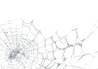 A delicate spiderweb glistens against a dark backdrop, creating an eerie, Halloween-themed design element perfect for overlays and spooky projects, transparent background