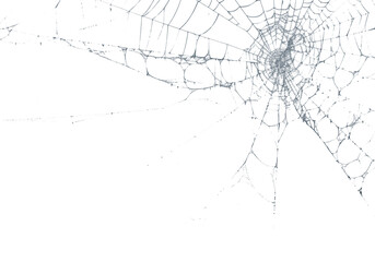 Delicate spiderweb glistens against a stark black backdrop, highlighting its intricate design and...
