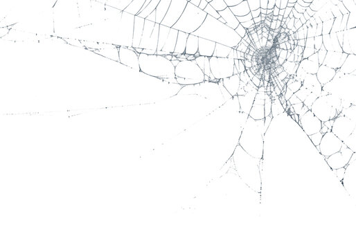 Delicate spiderweb glistens against a stark black backdrop, highlighting its intricate design and natural craftsmanship, transparent background