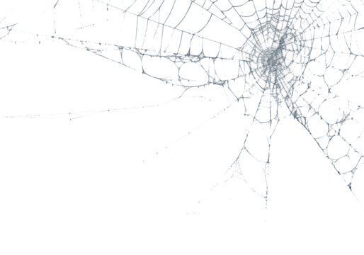 Delicate spiderweb glistens against a stark black backdrop, highlighting its intricate design and natural craftsmanship, transparent background