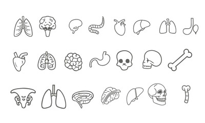 Medical organs  icon