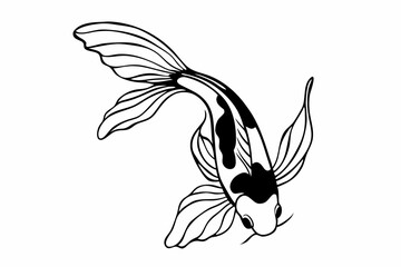 Black and white koi fish swimming gracefully outline fins