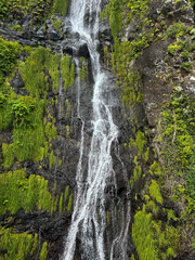 View of the waterfall on a summer day. Close-up. Nature background. Madeira. Portugal.