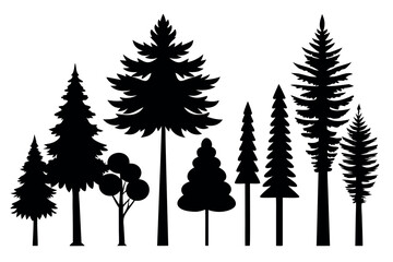 Fototapeta premium Forest Trees Silhouette Collection – Pine and Fir Evergreen Vector on White Background