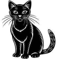 Obraz premium A detailed black cat sitting calmly with whiskers and tail silhouette