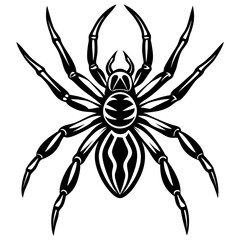 Obraz premium Intricate black spider with eight legs and detailed body silhouette