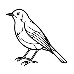 Bird with detailed outlines a focused eye on a animal graphic