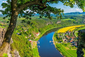 A tree framed view above  the River Elbe in Saxon Switzerland, Germany in springtime
