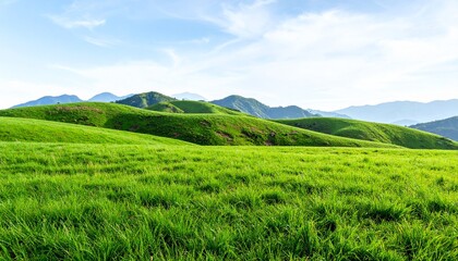 Obraz premium 3D Nature Grass Landscape for Cover and Web Design