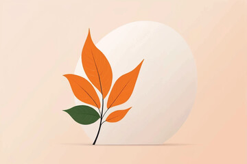 orange with leaf isolated,