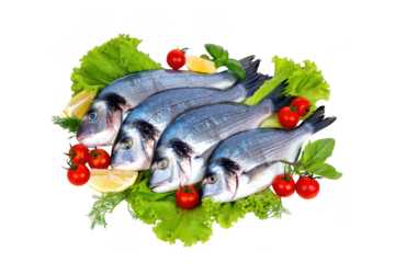 Four fresh sea bream fish arranged with lettuce tomatoes and lemon seafood
