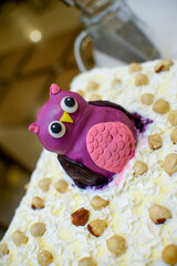 A birthday cake decorated with small and large hazelnuts and a figure in the shape of a purple owl is on the table waiting to be served