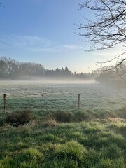 Misty morning landscape with sunrise
