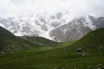 grassland in mountains