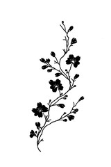 Cherry Blossom Branch Floral Vector Illustration
