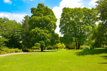 Trees and green bright green grass in meadow in summer park.